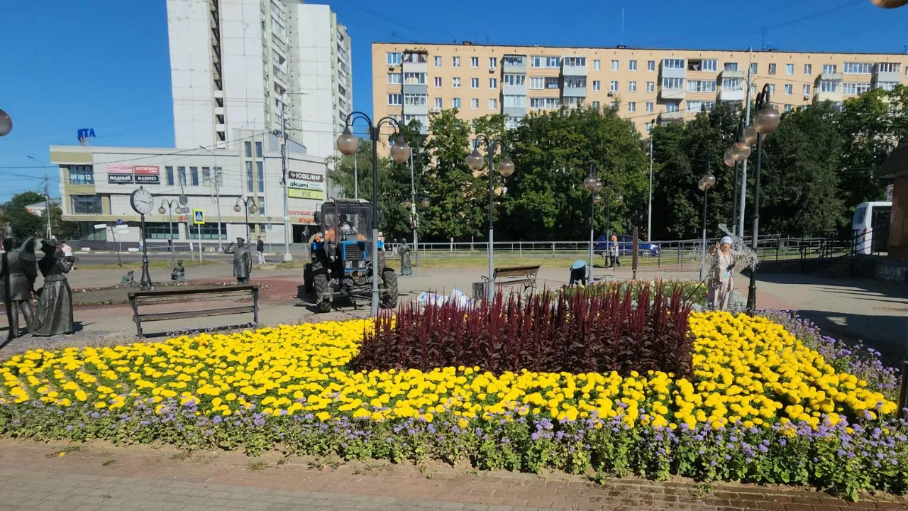 Картинка