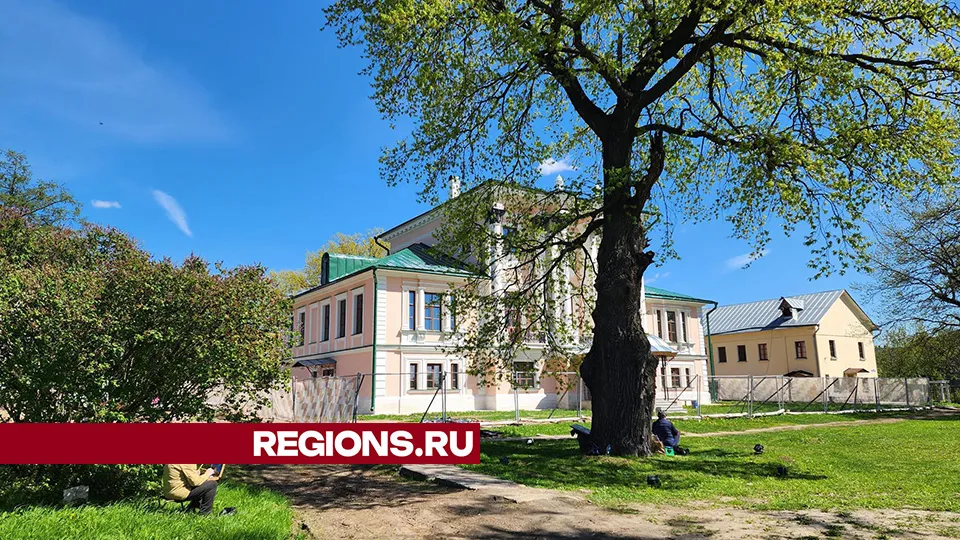 Фото: Светлана Плотникова