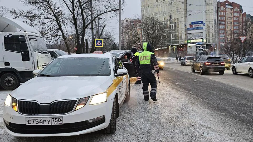Фото: пресс-служба администрации г.о. Долгопрудный