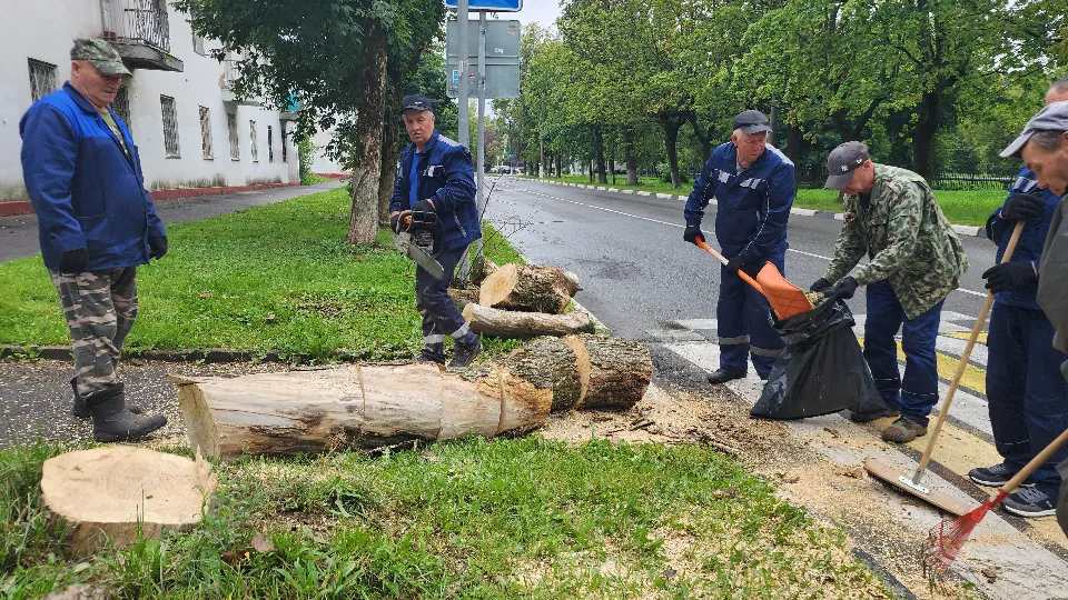 Фото: МедиаБанк Подмосковья/Наталья Дорошева
