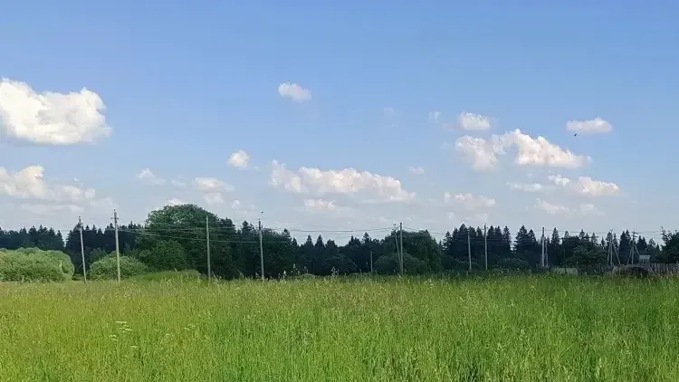 Участок в Можайском округе