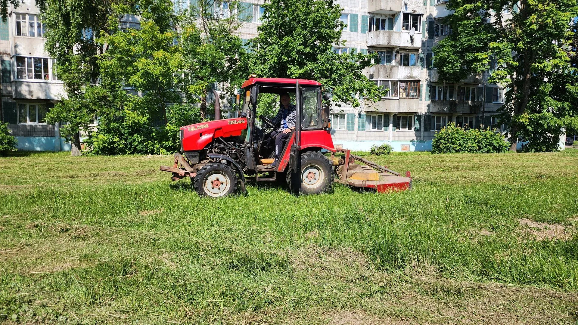 Картинка