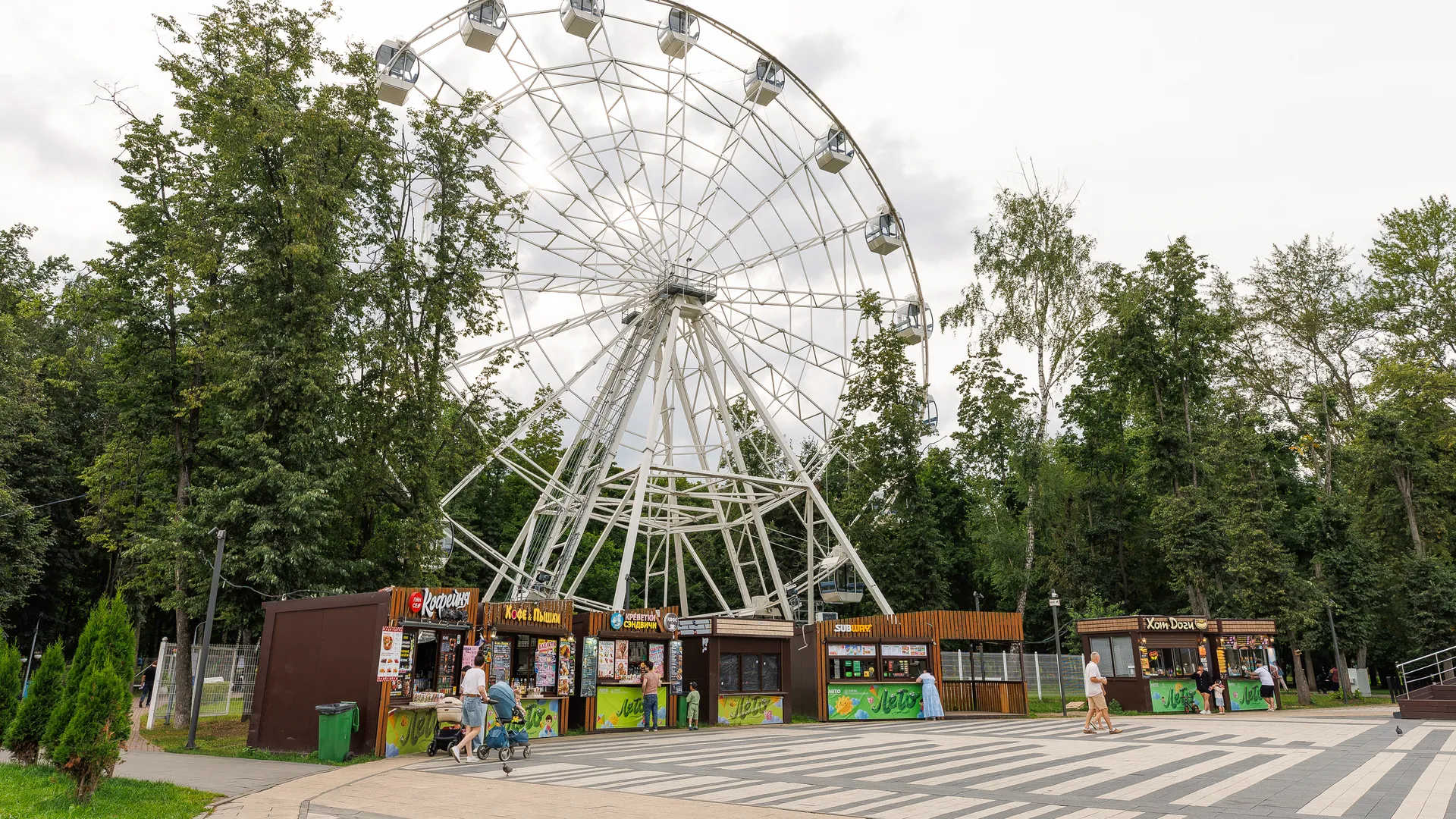 Картинка