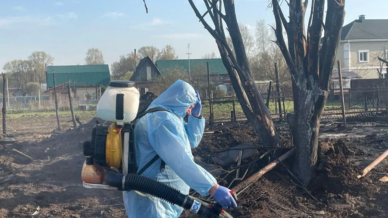 Фото: Министерство сельского хозяйства и продовольствия Московской области