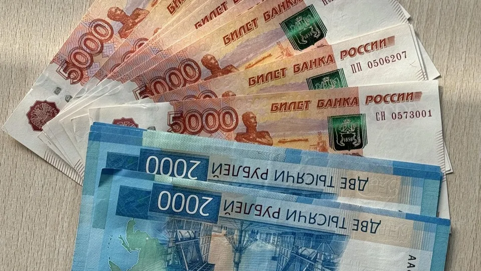 Фото: Министерство экономики и финансов Московской области