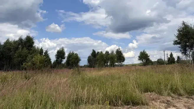 Земельный участок на торгах в Подмосковье