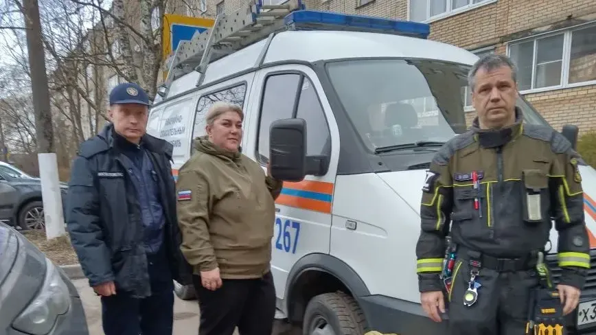 Картинка