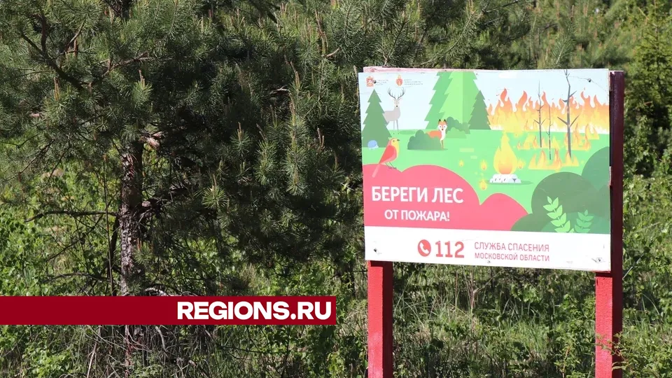Фото: REGIONS/Василий Тремасов