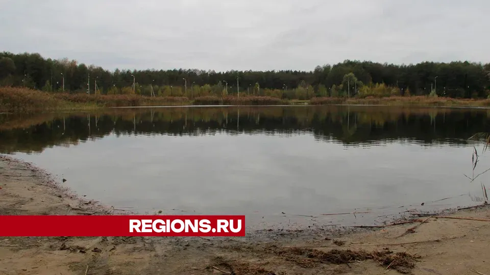 Фото: REGIONS/Василий Тремасов