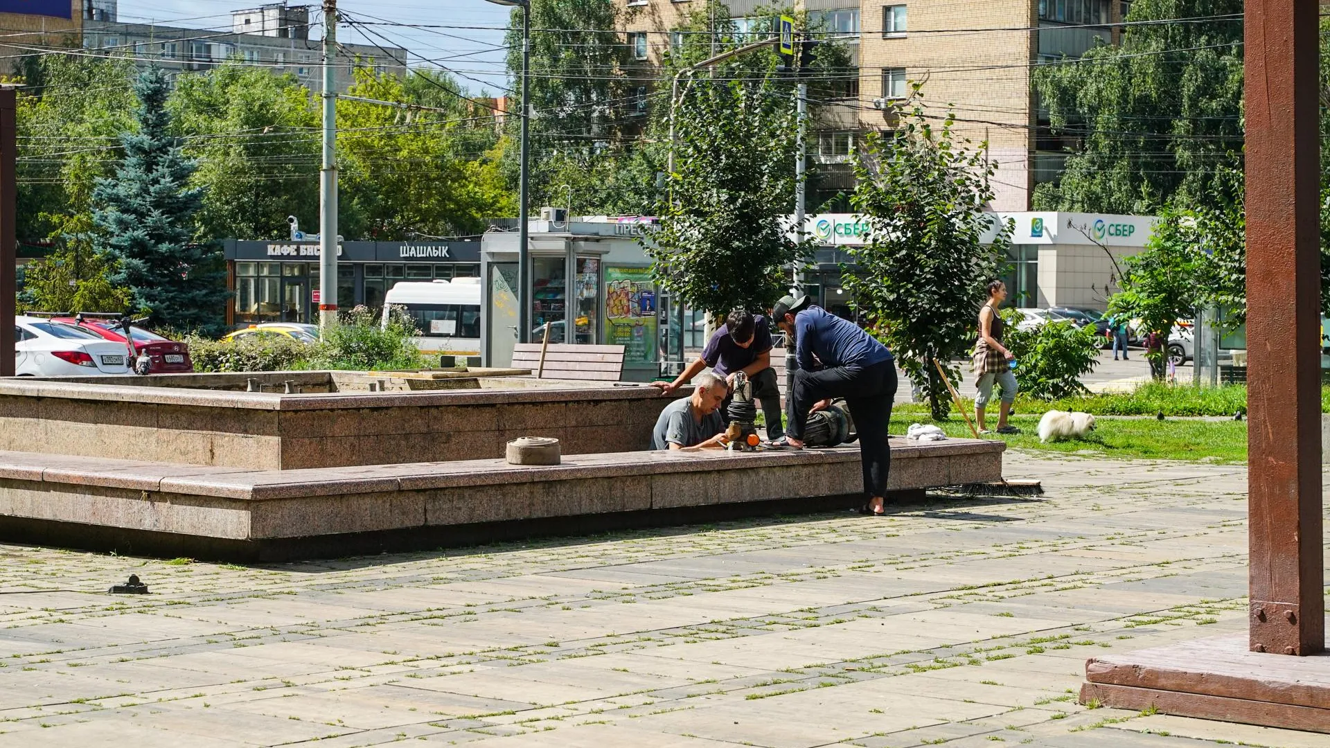 Картинка