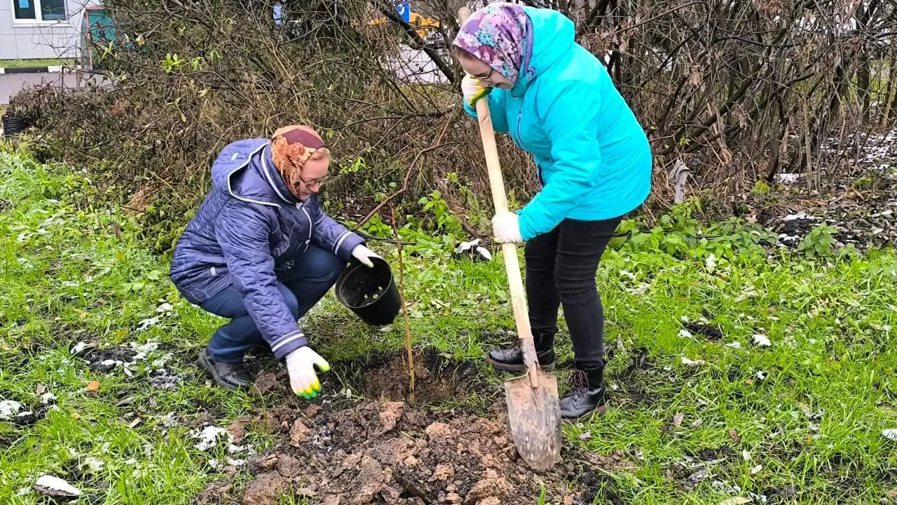 Картинка