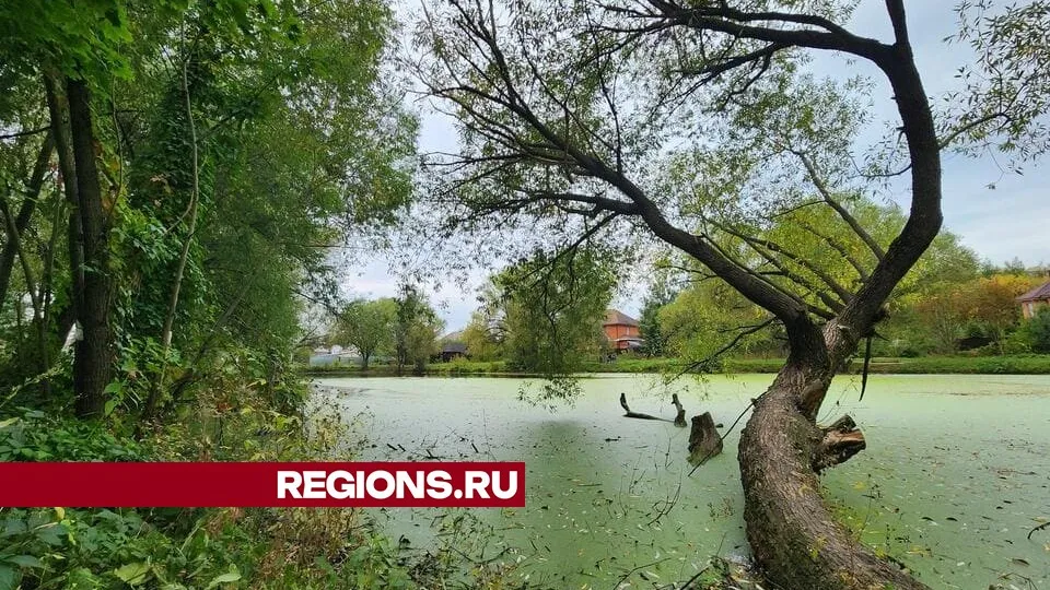 Фото: Никита Сморкалов