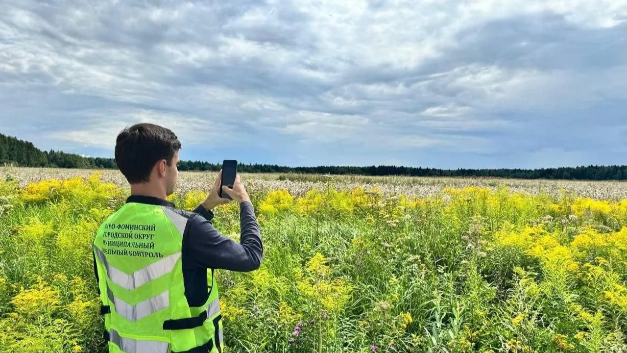С начала года в Подмосковье устранили нарушения целевого землепользования на 536 участках