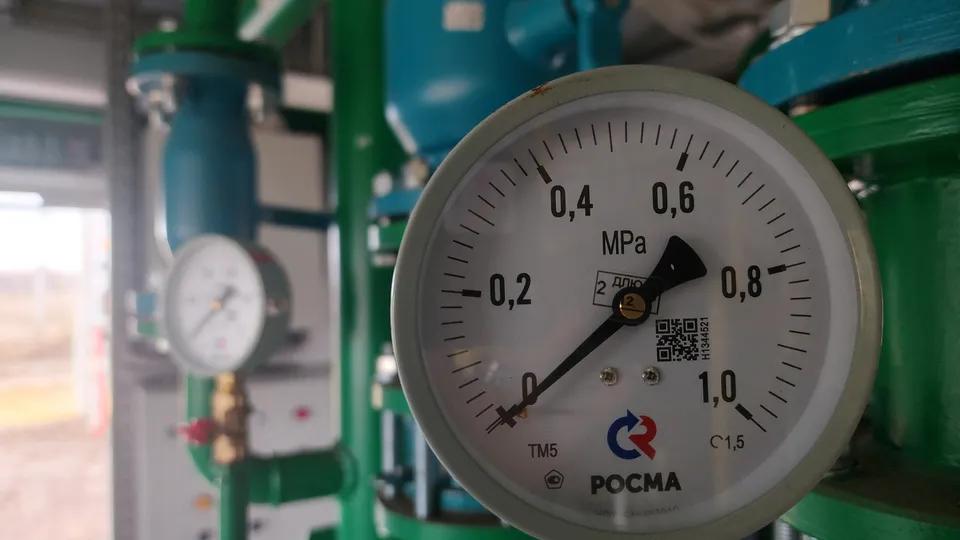 Фото: МедиаБанк Подмосковья/Светлана Плотникова