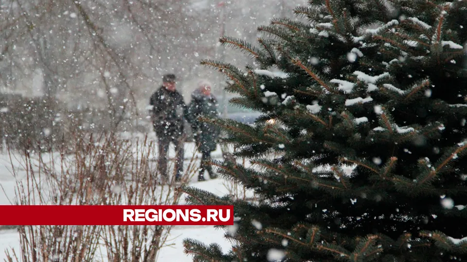 Фото: REGIONS/Василий Тремасов