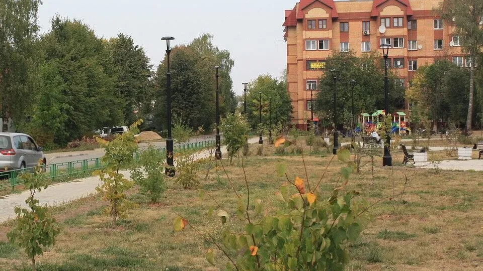 Фото: Министерство благоустройства Московской области