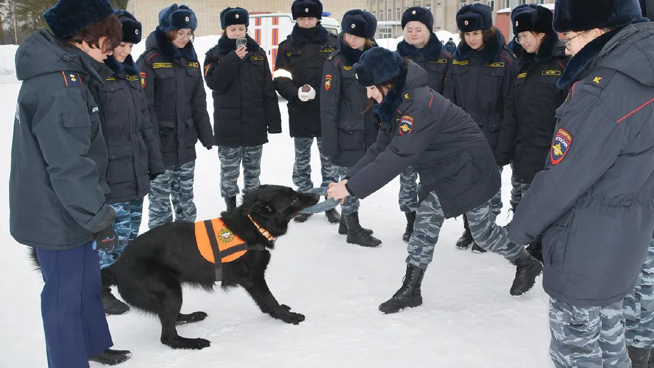 Фото: ГКУ МО «Мособлпожспас»