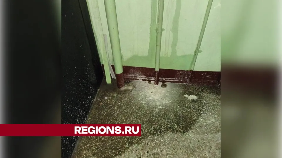 Фото: личный архив Галины Сарбахтиной