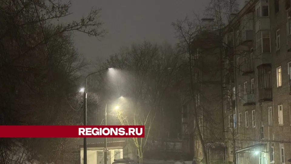 Фото: Михаил Моисеев