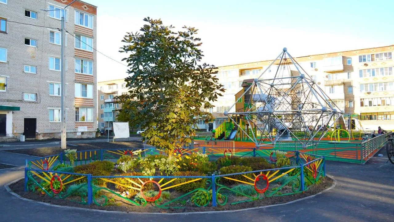 Картинка