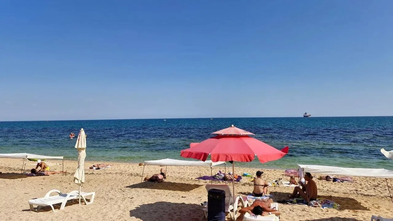 Картинка