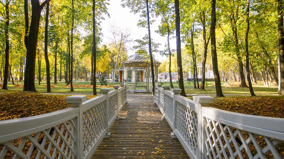 Фото: медиасток.рф