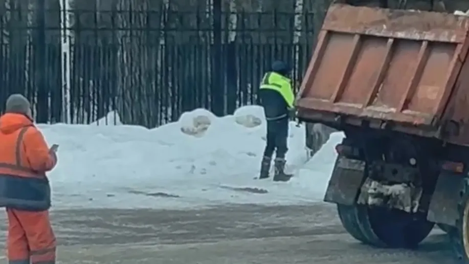 Фото: стоп-кадр видео телеграм-канал "Ступино"