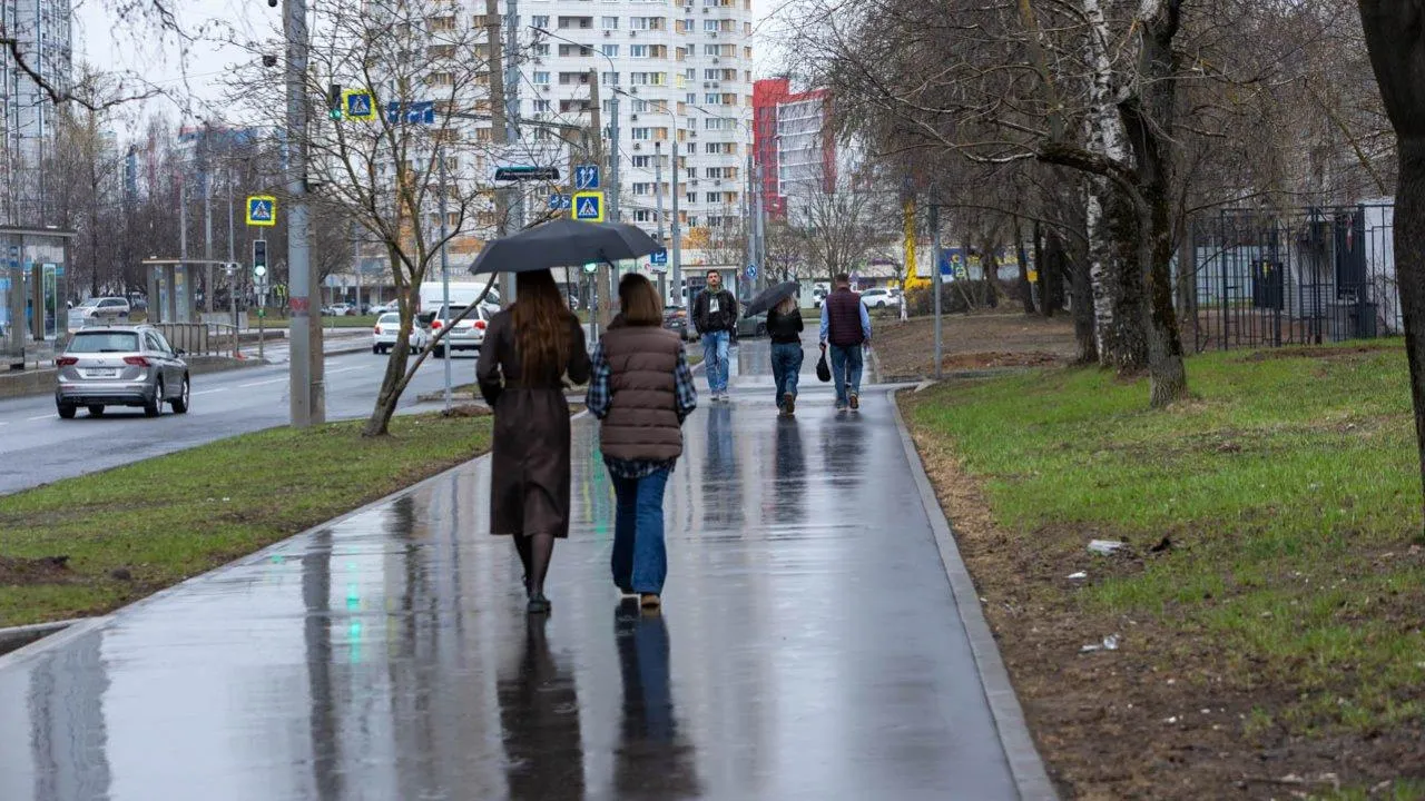 Синоптики предупредили о дождях в Подмосковье 12 мая