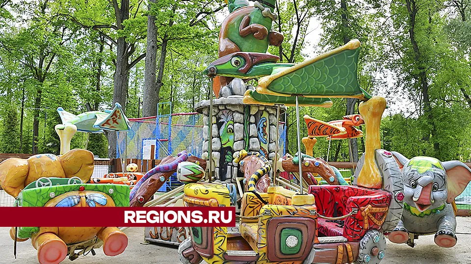 Фото: REGIONS/Наталья Бычкова