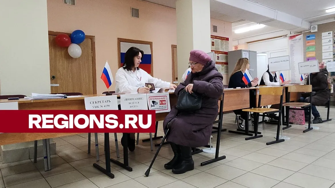 Фото: Нина Басистая