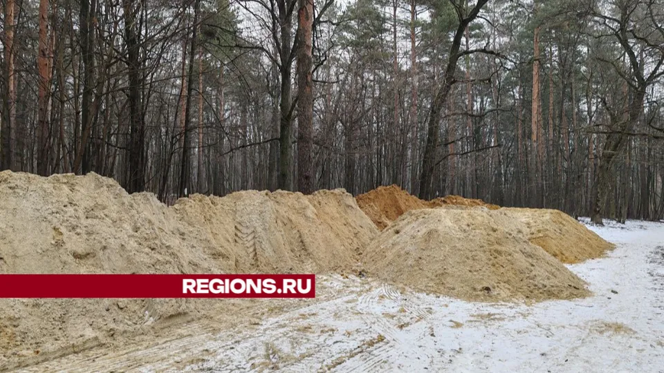 Фото: REGIONS/Юлия Павлова