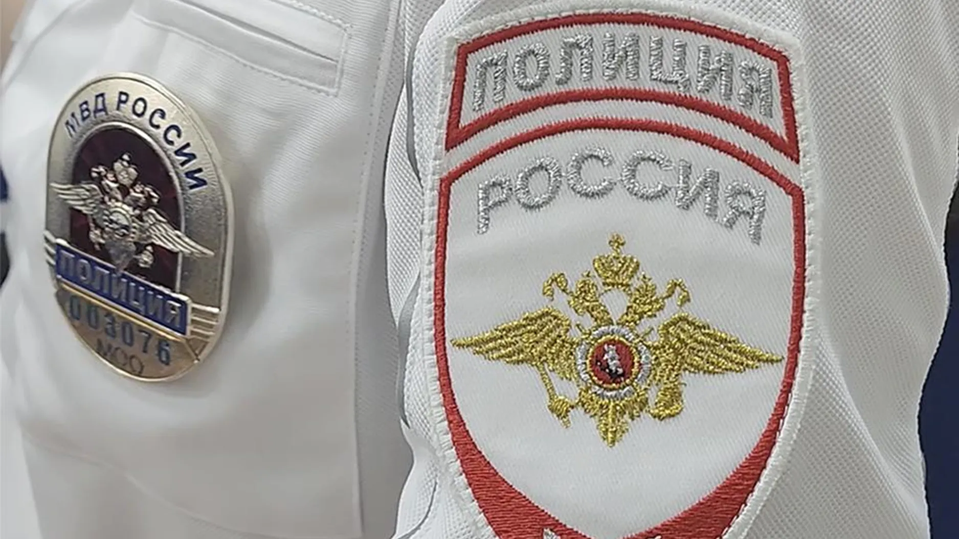 Фото: МедиаБанк Подмосковья/Артем Мишуков