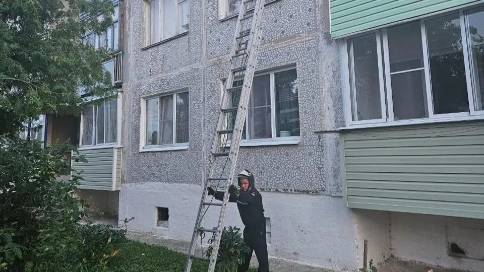 Фото: ГКУ МО «Мособлпожспас»