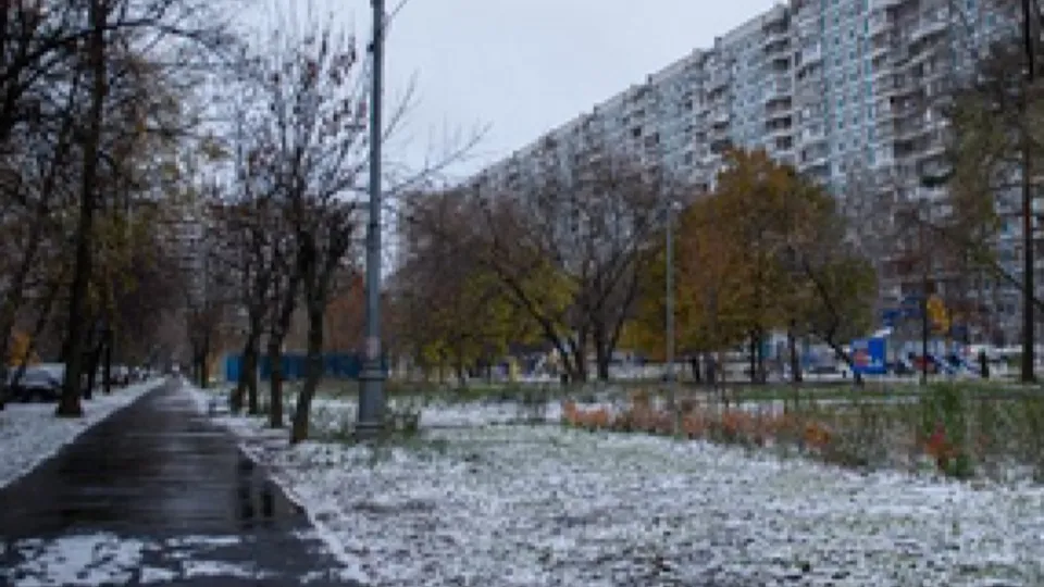 Фото: медиасток.рф