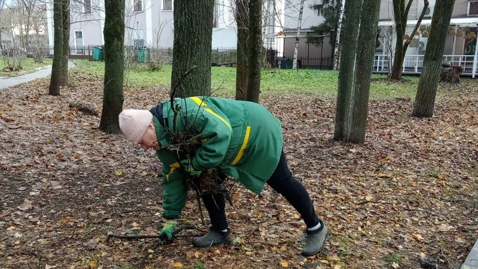 Фото: Министерство по содержанию территорий и государственному жилищному надзору Московской области