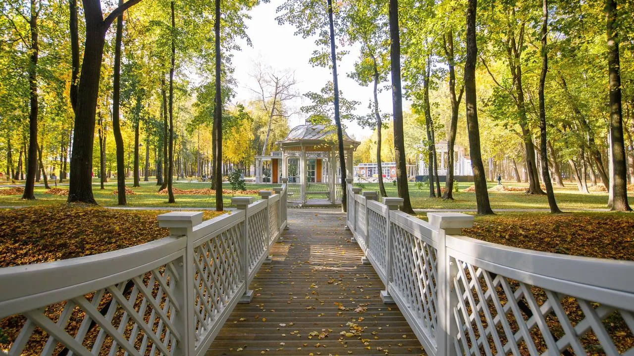 Фото: медиасток.рф