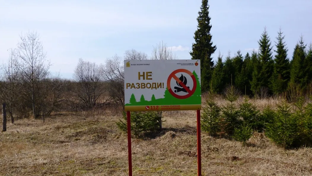Фото: Комитет лесного хозяйства Московской области