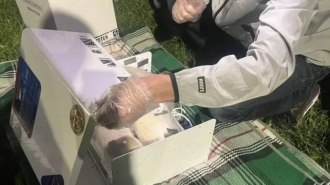 пресс-служба ФТС Росси