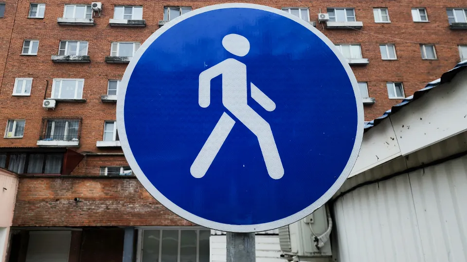 Фото: МедиаБанк Подмосковья/Мария Панина