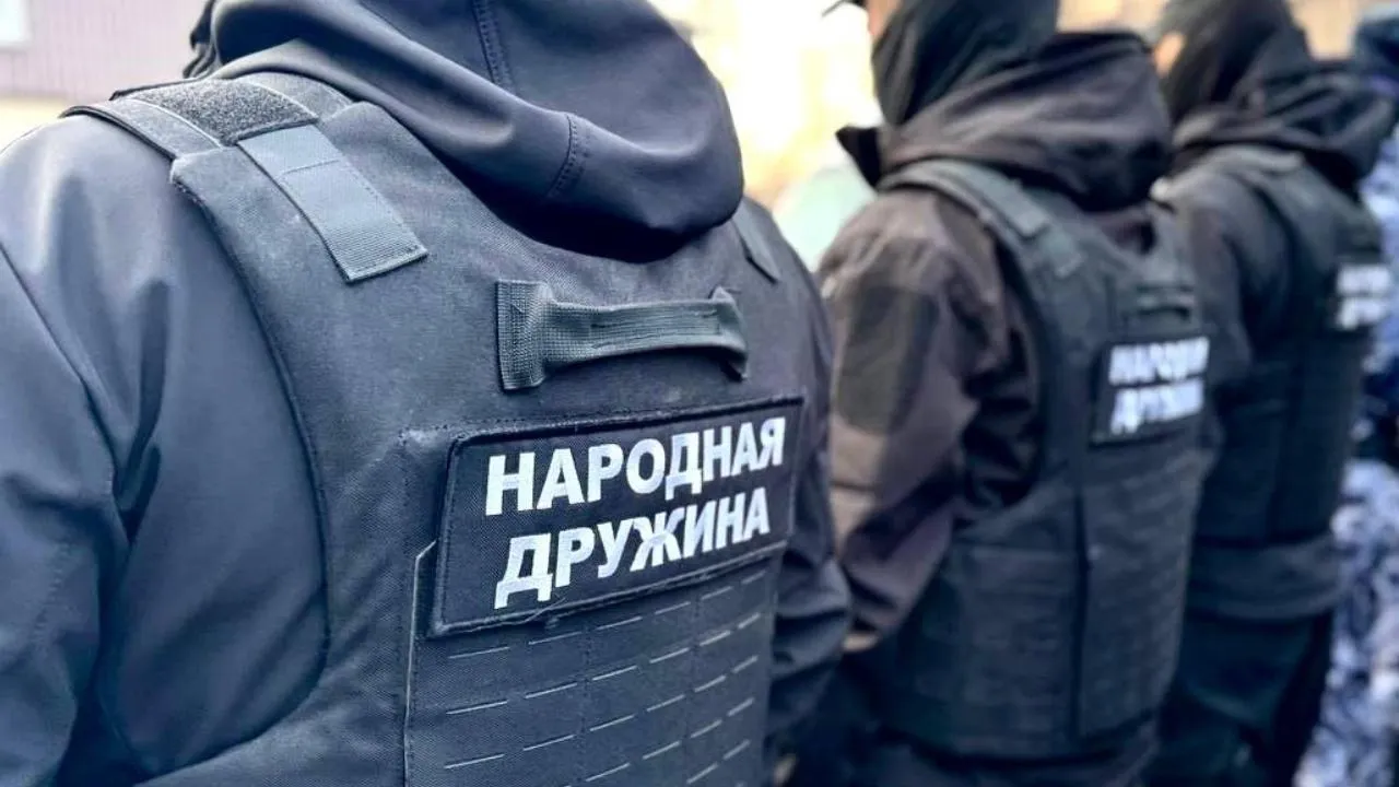 Единый логотип появится на удостоверениях народных дружинников в Подмосковье