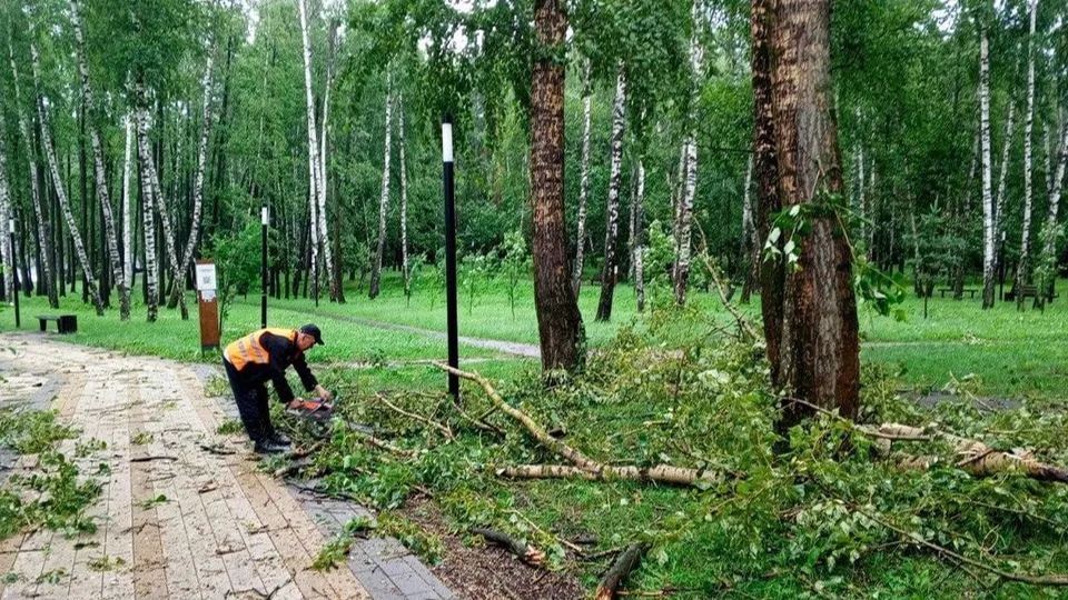 Фото: администрация городского округа Люберцы