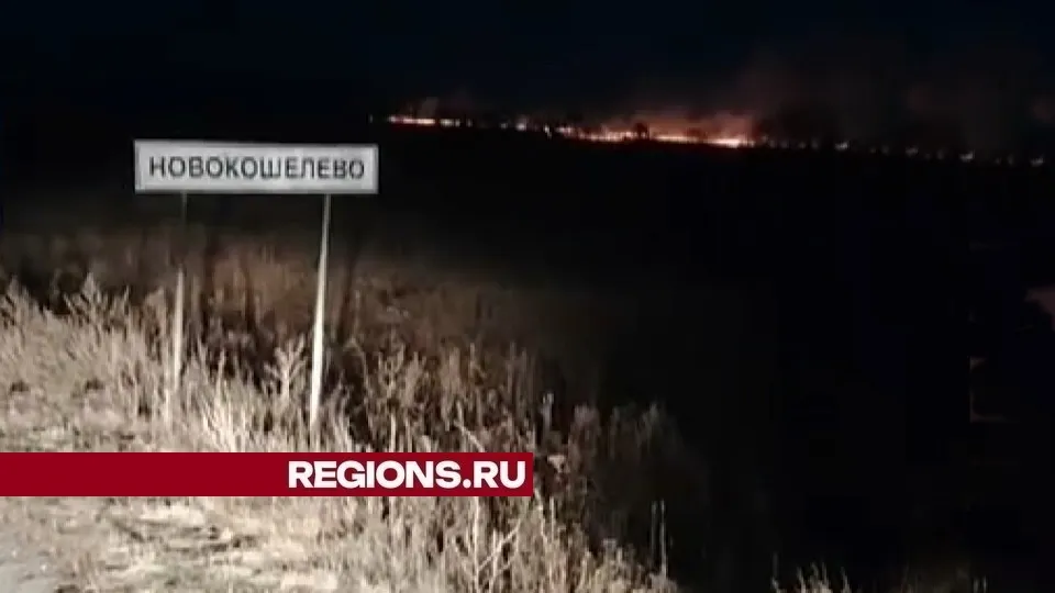 Фото: ГКУ МО «Мособлпожспас»