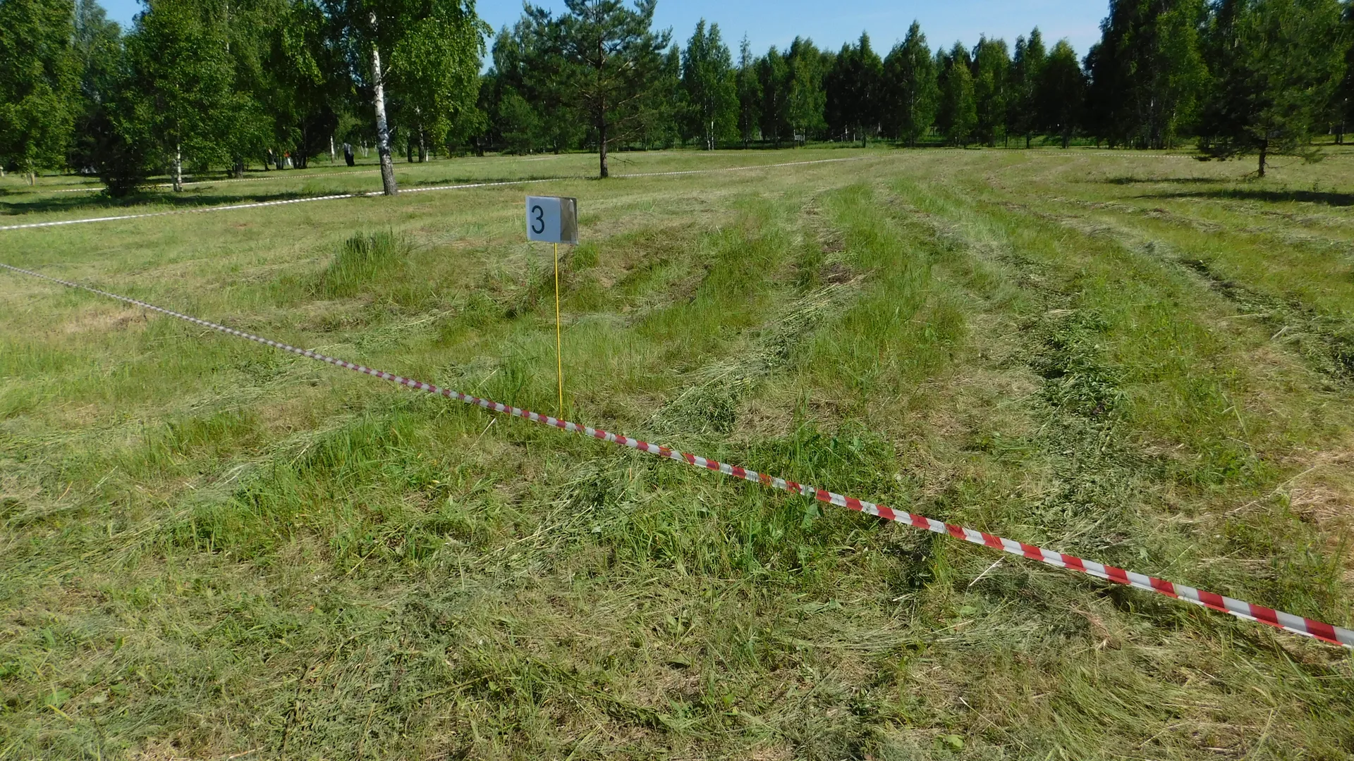 Поселок для медиков появится в Богородском округе
