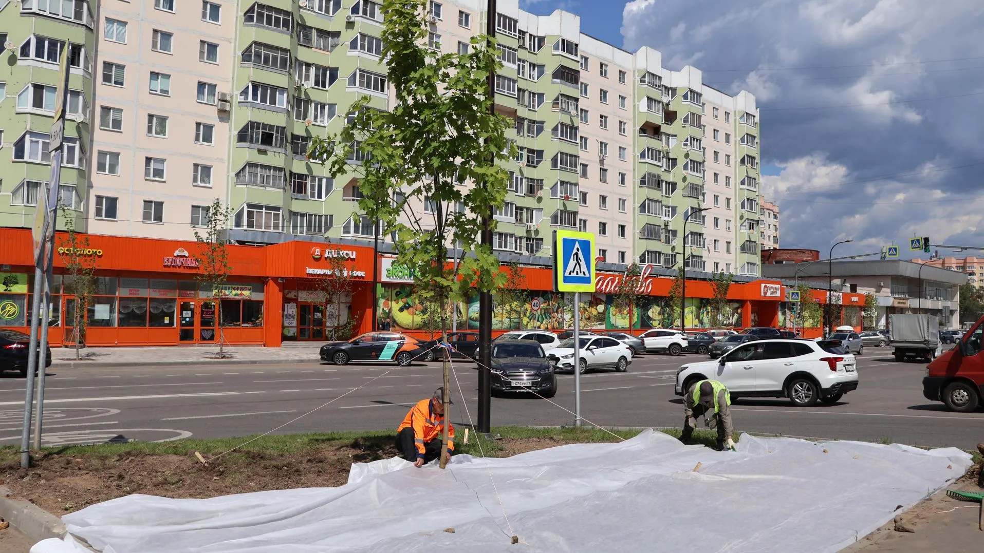 Картинка