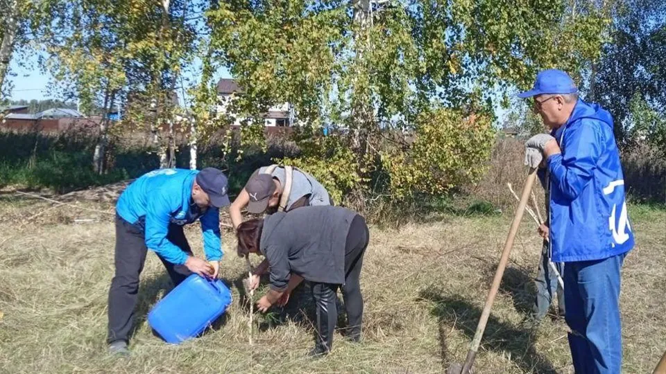 Картинка