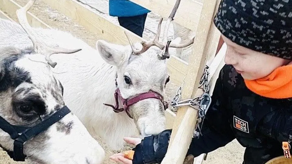 Фото: Окружное управление социального развития №20