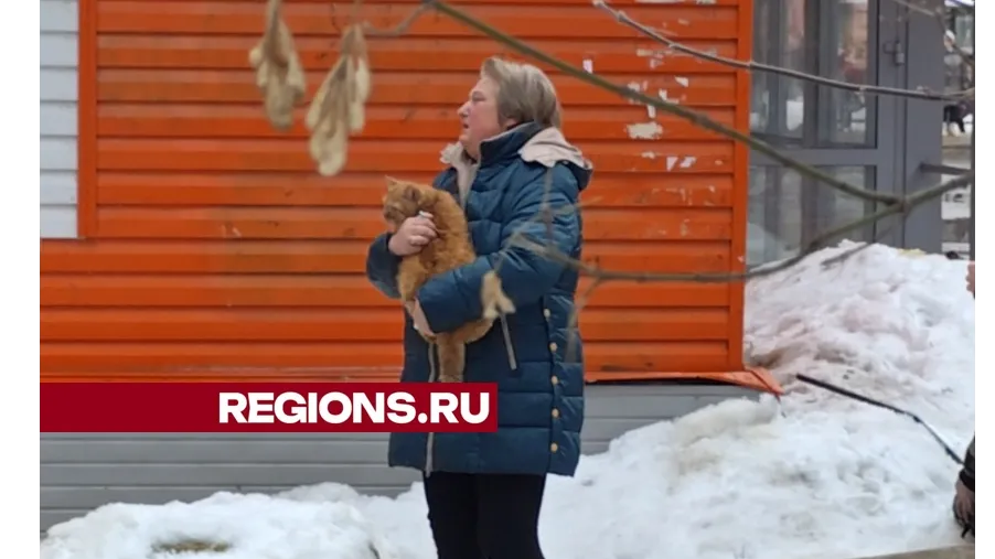 фото: Алексей Селиверстов / Regions.ru