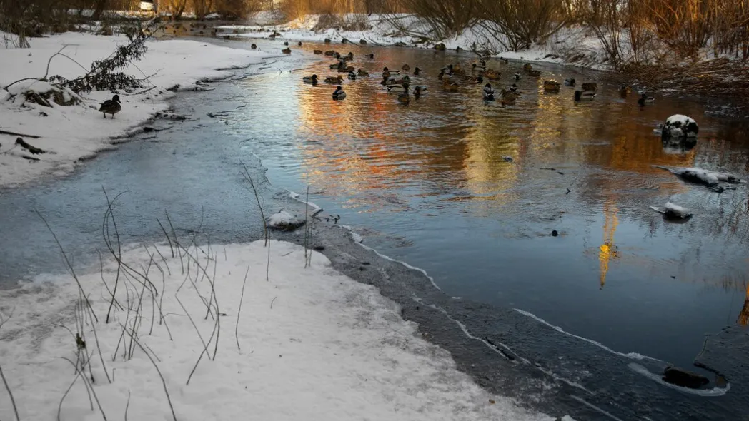 Источник: ru.freepik.com