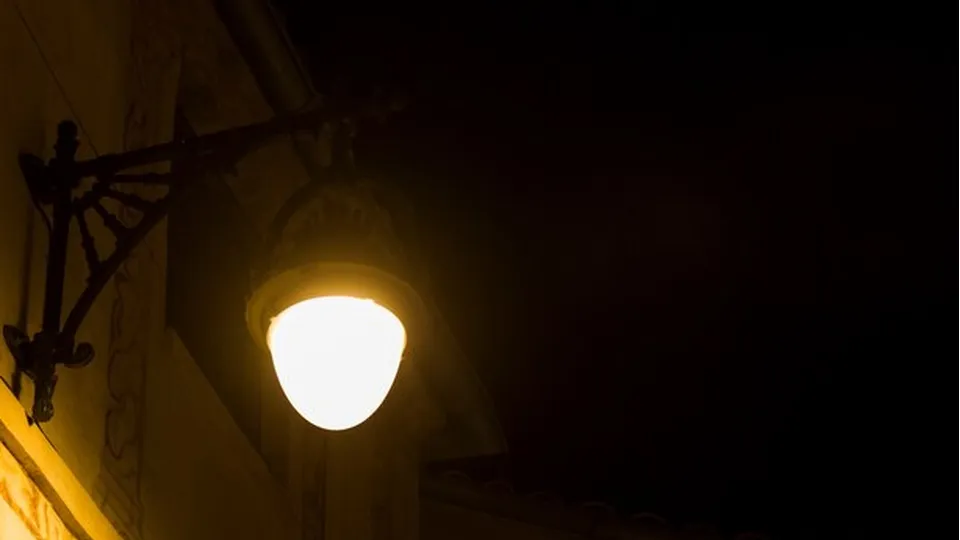 Фото: Министерство благоустройства Московской области