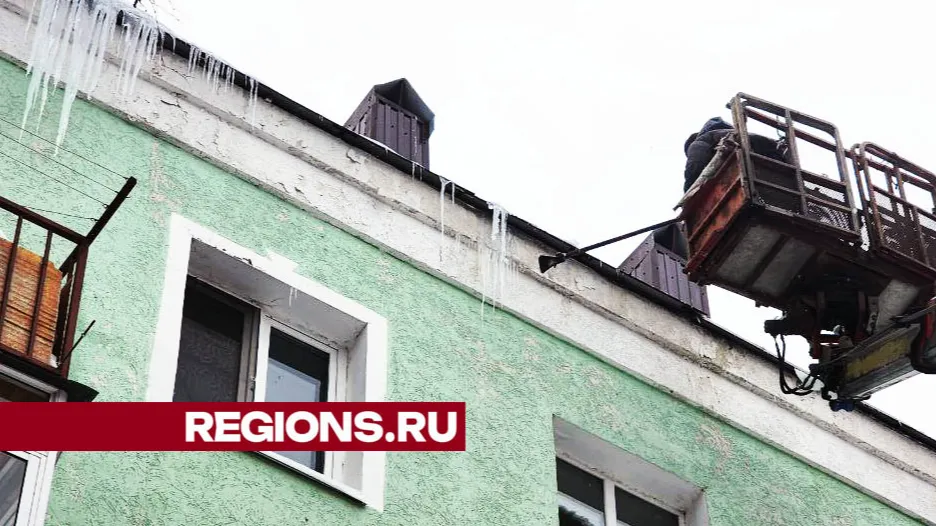 Фото: Валерия Тингаева
